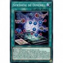 Synthèse de Dimère (C) [DAMA]