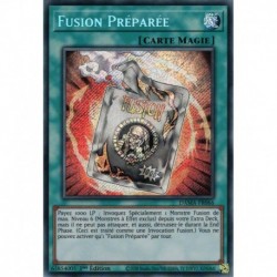 Fusion Préparée (STR) [DAMA]