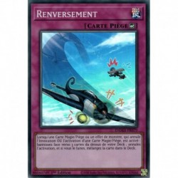 Renversement (SR) [DAMA]