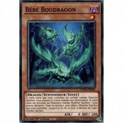 Bébé Boudragon (C) [DAMA]