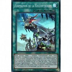 Formation de la Coléoptroupe (SR) [DAMA]