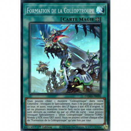 Formation de la Coléoptroupe (SR) [DAMA]