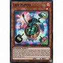 Lien Pomme (SR) [DAMA]