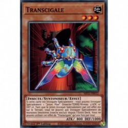 Transcigale (C) [MP21]