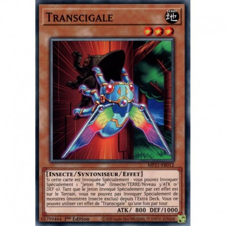 Transcigale (C) [MP21]