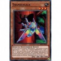Transcigale (C) [MP21]