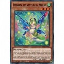 Feedran, les Vents de la Malice (C) [MP21]
