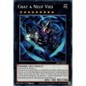 Chat à Neuf Vies (C) [MP21]