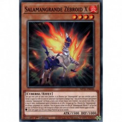 Salamangrande Zébroid X (C) [MP21]