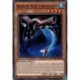 Requin Scie Circulaire (C) [MP21]