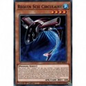 Requin Scie Circulaire (C) [MP21]