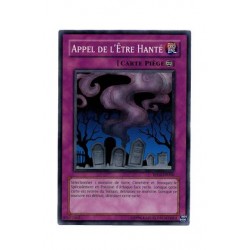 Appel de l'Étre Hanté (C)