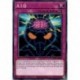 A.I.Q (C) [MP21]