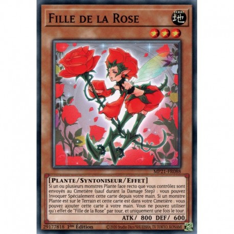 Fille de la Rose (C) [MP21]