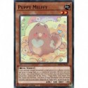 Puppy Melffy (C) [MP21]