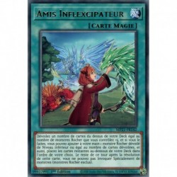Amis Inflexcipateur (R) [MP21]