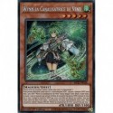 Wynn la Canalisatrice de Vent (PSTR) [MP21]