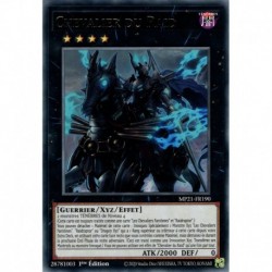 Chevalier du Raid (R) [MP21]