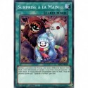 Surprise à la Main (C) [MP21]