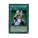 Seigneur de la suppression (C) [RP02]