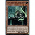 Analyseur Inflexcipateur (SR) [MP21]