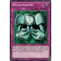 Métalmorphe (C) [SDGR]