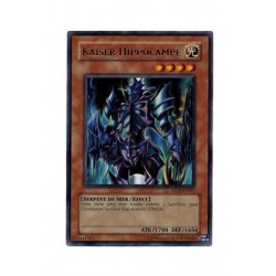 Kaiser Hippocampe (R)