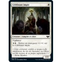 Blanche - Célébrant impie (C) [VOW]