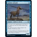 Bleue - Lancier rafistolé (U) [VOW]