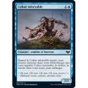 Bleue - Cohue misérable (C) [VOW]