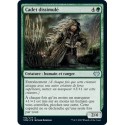 Verte - Cadet dissimulé (U) [VOW]
