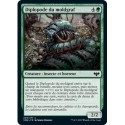 Verte - Diplopode du moldgraf (C) [VOW]