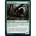 Verte - Loup menaçant (C) [VOW]