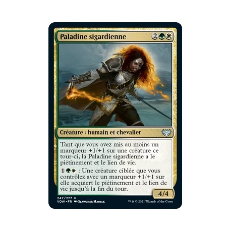 Multicolore - Paladine sigardienne (U) [VOW]