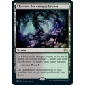 Terrain - Clairière des oronges brunes (R) [VOW]