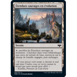 Terrain - Étendues sauvages en évolution (C) [VOW]
