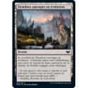 Terrain - Étendues sauvages en évolution (C) [VOW]