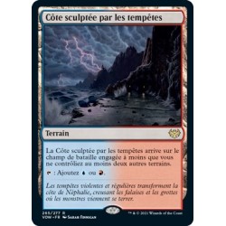 Terrain - Côte sculptée par les tempêtes (R) [VOW]