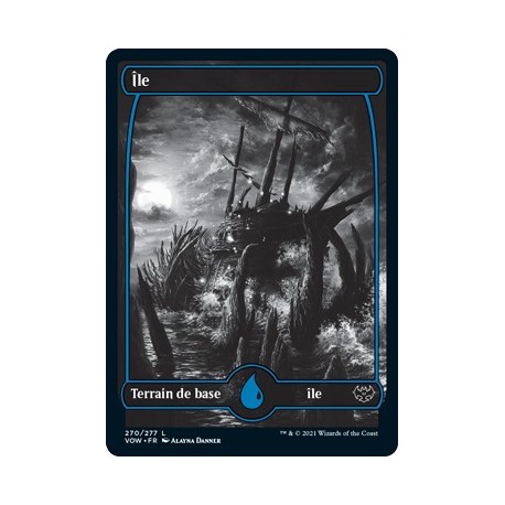 Terrain - Île (V1) (L) [VOW]