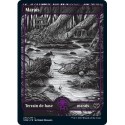 Terrain - Marais (V2) (L) [VOW]