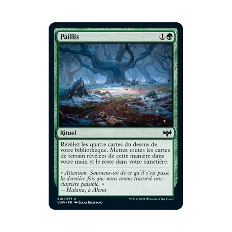 (FOIL) Verte - Paillis (C) [VOW]