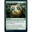 (FOIL) Verte - Toile de l'envoûteuse (C) [VOW]