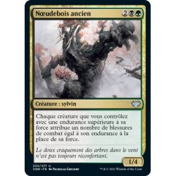 (FOIL) Multicolore - Nœudebois ancien (U) [VOW]