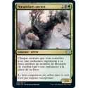 (FOIL) Multicolore - Nœudebois ancien (U) [VOW]
