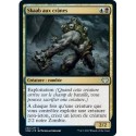 (FOIL) Multicolore - Skaab aux crânes (U) [VOW]