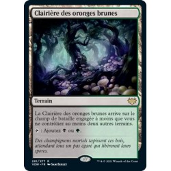 (FOIL) Terrain - Clairière des oronges brunes (R) [VOW]
