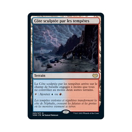 (FOIL) Terrain - Côte sculptée par les tempêtes (R) [VOW]