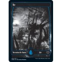 (FOIL) Terrain - Île (V1) (L) [VOW]