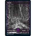 (FOIL) Terrain - Marais (V1) (L) [VOW]