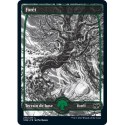 (FOIL) Terrain - Forêt (V1) (L) [VOW]